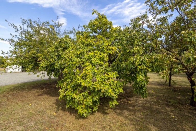 Photo of property in 83 Boundary Road, Upper Plain, Masterton, 5888