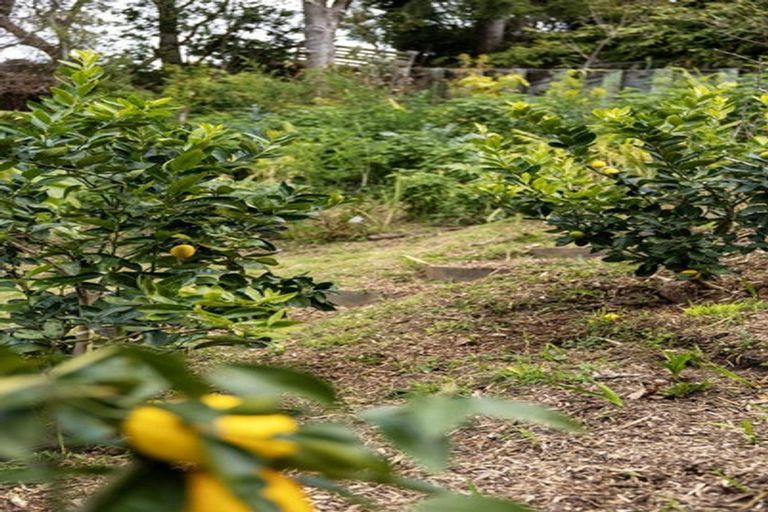 Photo of property in 116a Ridge Street, Otumoetai, Tauranga, 3110