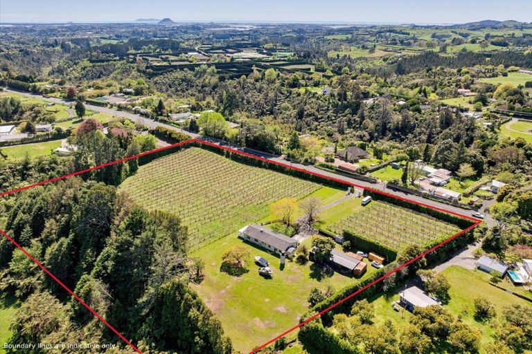 Photo of property in 668 Pyes Pa Road, Pyes Pa, Tauranga, 3173