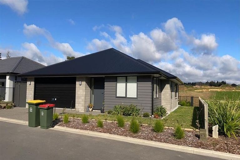 Photo of property in 14 Kauri Lane, Omokoroa, 3114