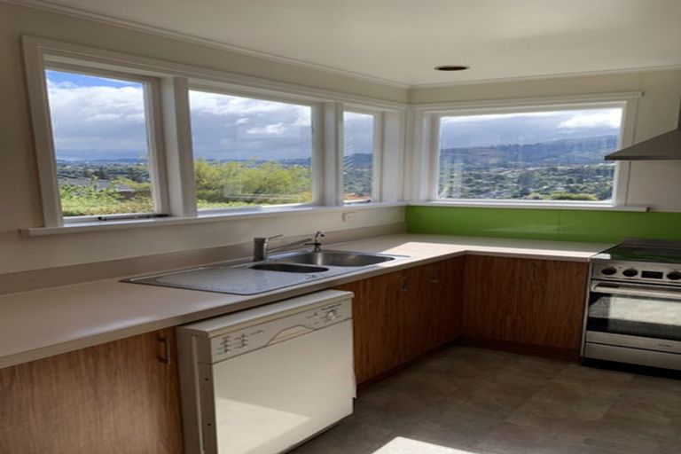 Photo of property in 14 Windsor Street, Opoho, Dunedin, 9010