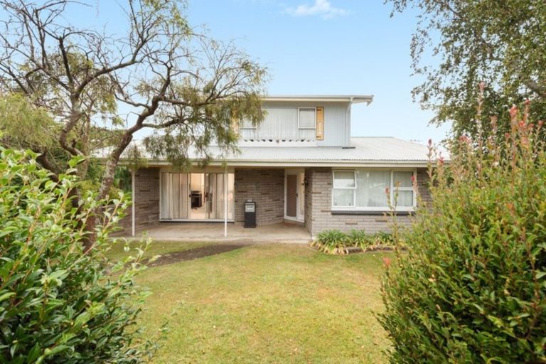 Photo of property in 123 Bellevue Road, Brookfield, Tauranga, 3110