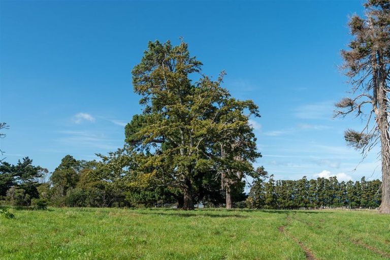 Photo of property in 1409 Collingwood-puponga Main Road, Pakawau, Collingwood, 7073
