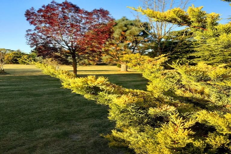 Photo of property in 897 Sandy Knolls Road, West Melton, Christchurch, 7675