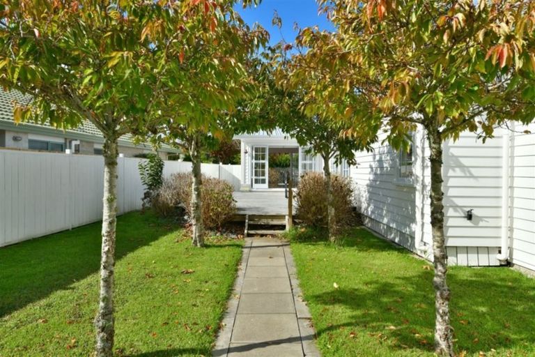 Photo of property in 77 The Circle, Manly, Whangaparaoa, 0930