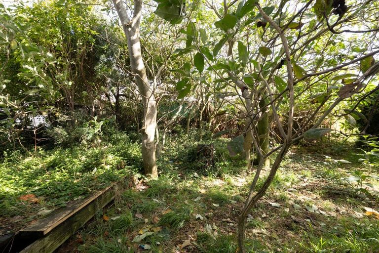 Photo of property in 77 Mould Street, Waitara, 4320