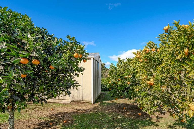 Photo of property in 22 Edkins Road, Kerikeri, 0230
