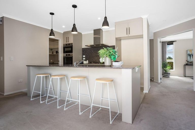 Photo of property in 51 John Burke Drive, Aotea, Porirua, 5024