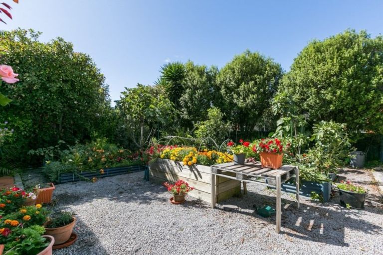 Photo of property in 6 Douglas Mclean Avenue, Marewa, Napier, 4110