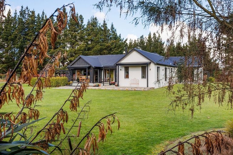 Photo of property in 155b Halcombe Road, Feilding, 4775