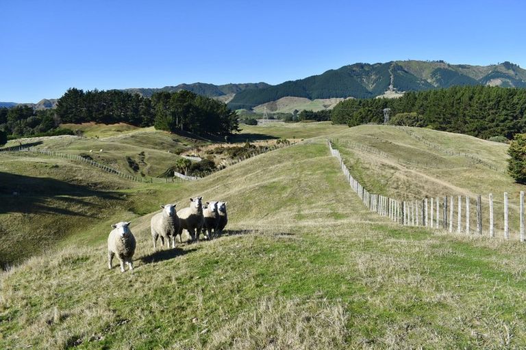 Photo of property in 207 Te Hapua Road, Te Horo, Otaki, 5581