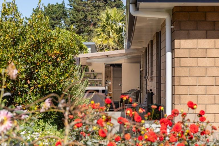 Photo of property in 31c Tieko Street, Otaihanga, Paraparaumu, 5036