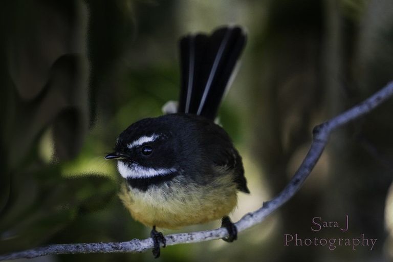 Photo of property in 10 Rereahu Avenue, Hatepe, Turangi, 3382