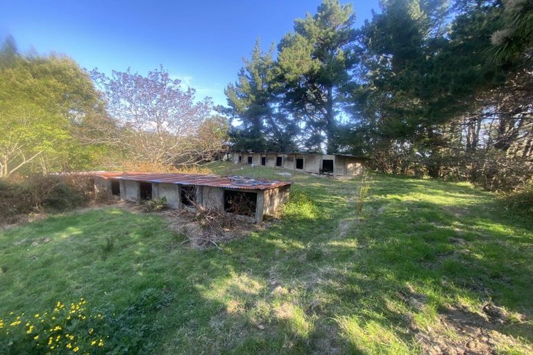 Photo of property in 338 Tuahu Road, Tauwhareparae, Tolaga Bay, 4077