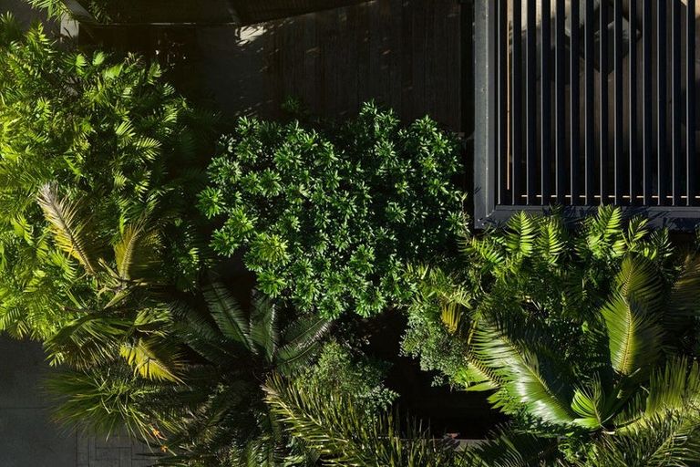 Photo of property in 18b Maunganui Road, Mount Maunganui, 3116