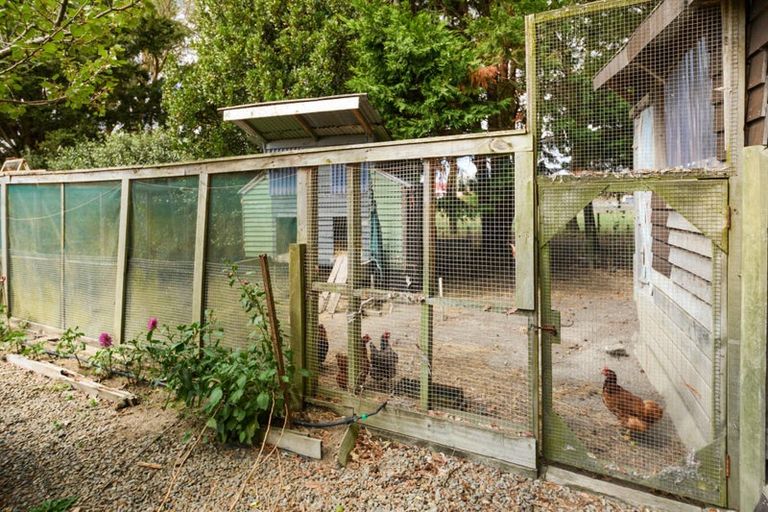 Photo of property in 1112 Rangiotu Road, Rangiotu, Palmerston North, 4477