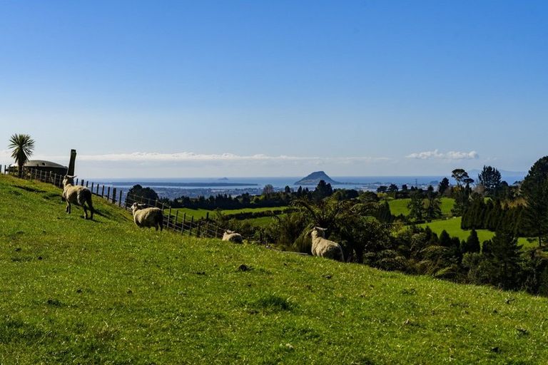 Photo of property in 11f Adrine Lane, Ohauiti, Tauranga, 3173