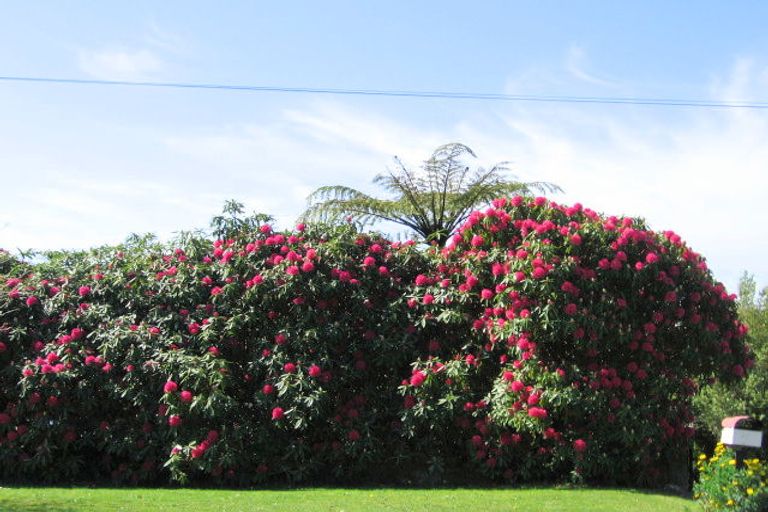 Photo of property in 43 Island View Road, Western Heights, Rotorua, 3015