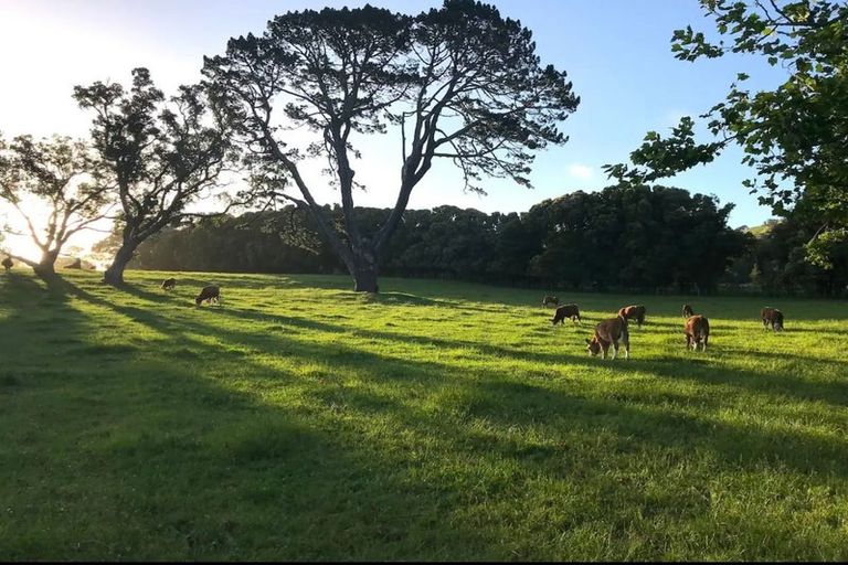 Photo of property in 24 Tawa Road, Onehunga, Auckland, 1061