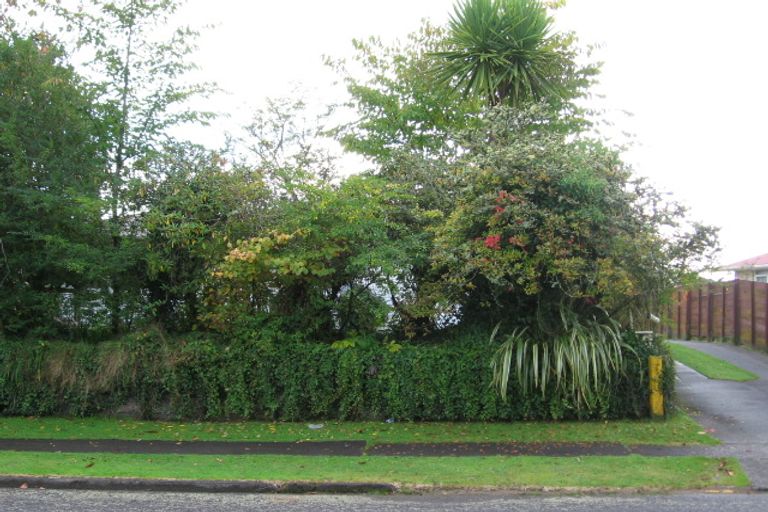 Photo of property in 12 Turner Place, Tokoroa, 3420