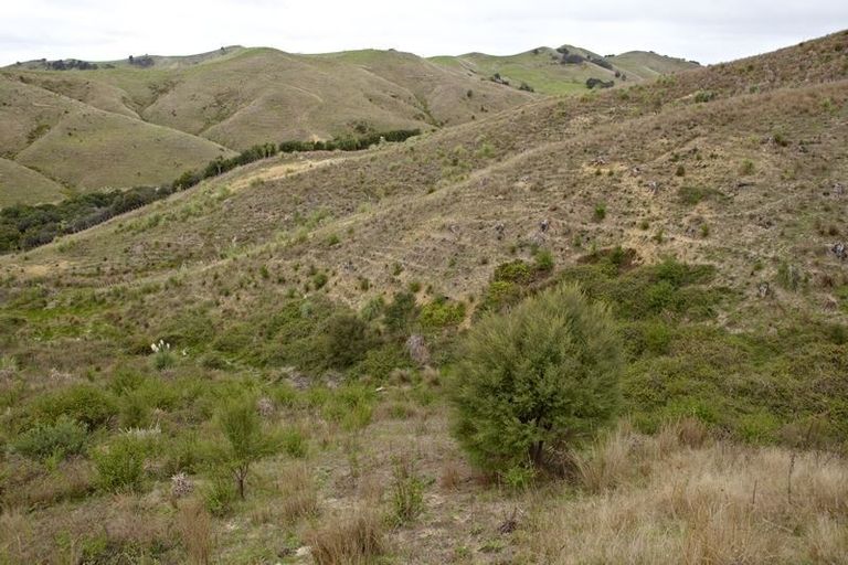 Photo of property in 43 Haul Road, Tahekeroa, Kaukapakapa, 0873