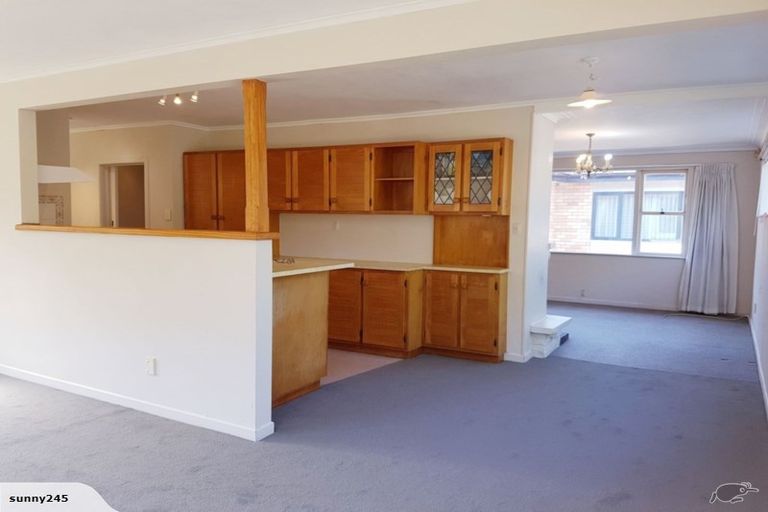 Photo of property in 21 Richards Avenue, Forrest Hill, Auckland, 0620