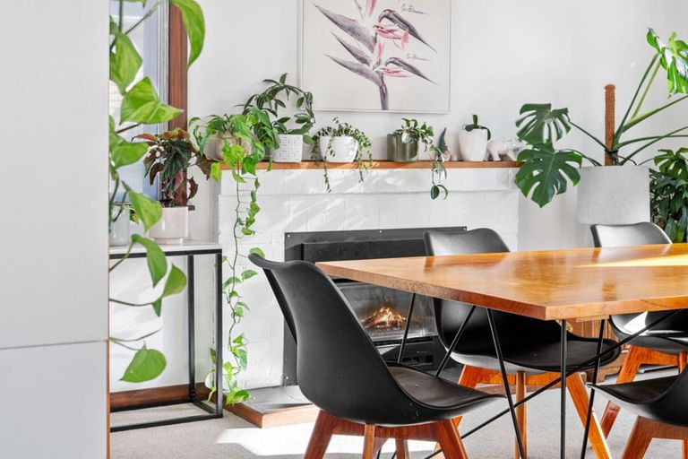 Photo of property in 8 Cameron Road, Te Puke, 3119