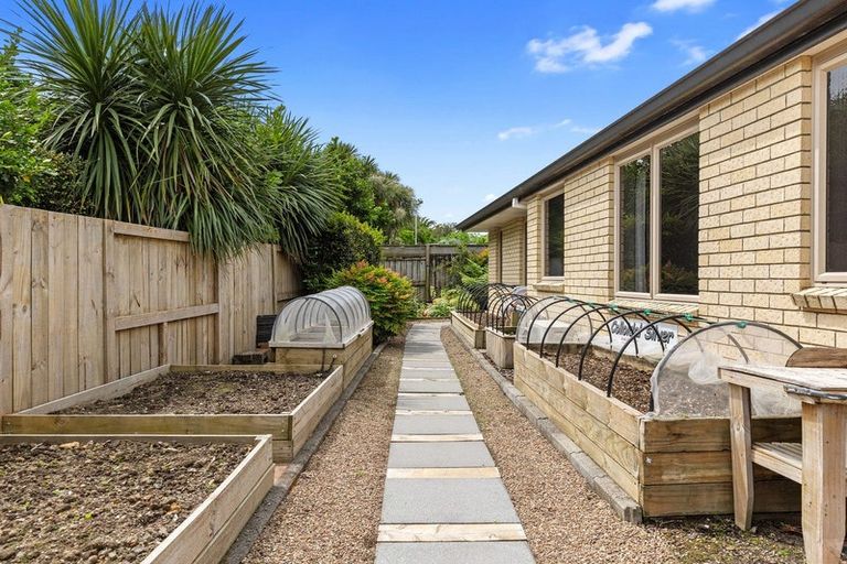 Photo of property in 17 Olive Close, Omokoroa, 3114