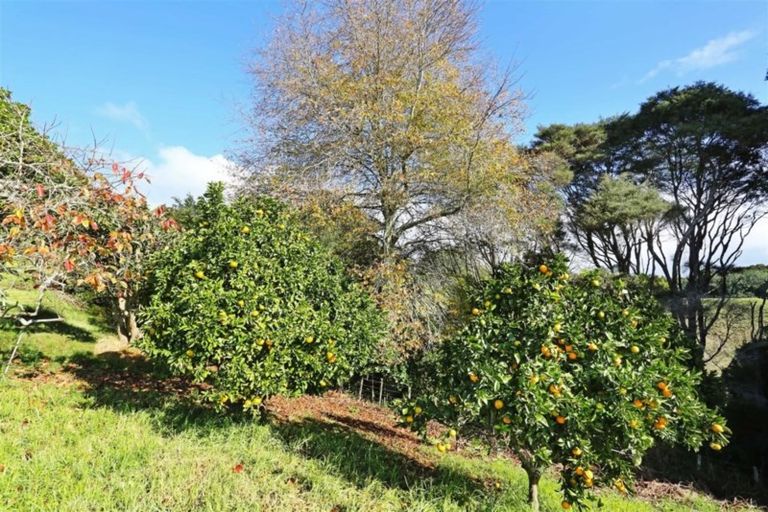 Photo of property in 20a Ostrich Farm Road, Pukekohe, 2676