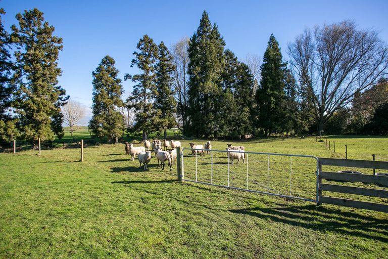 Photo of property in 66 Mill Road, Ohaupo, 3881