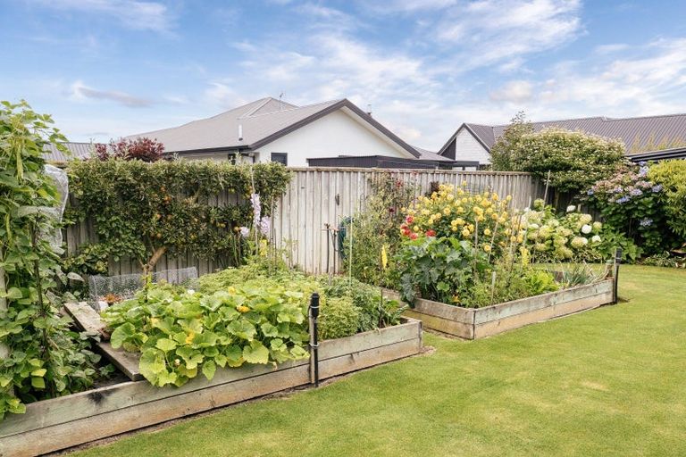 Photo of property in 11 Primrose Place, Allenton, Ashburton, 7700