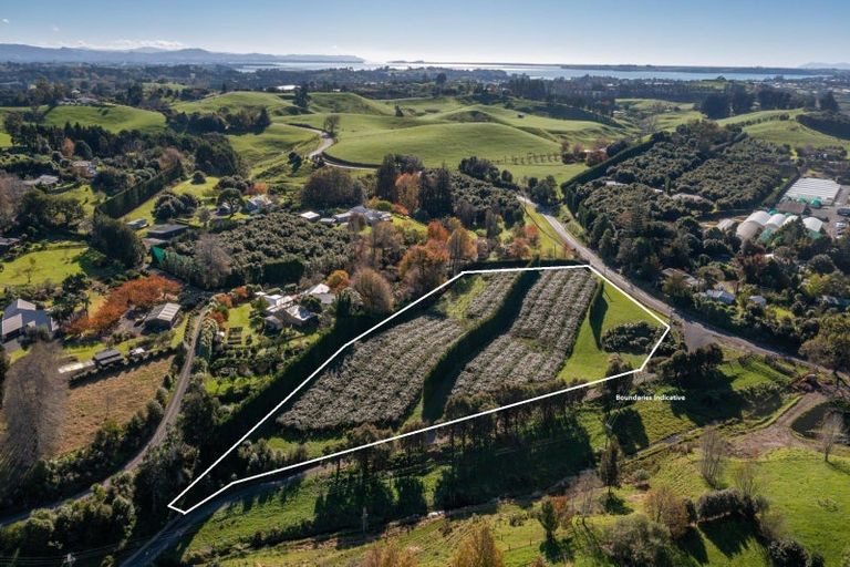 Photo of property in 394 Old Highway, Whakamarama, 3180