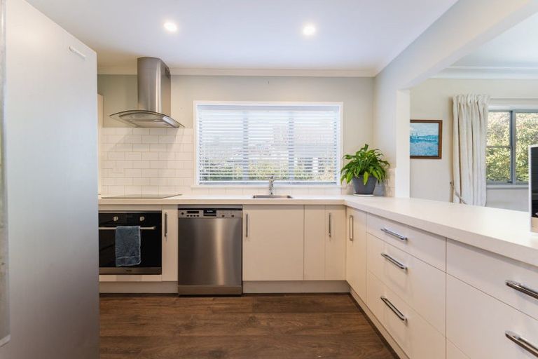 Photo of property in 39 Opoho Road, North East Valley, Dunedin, 9010