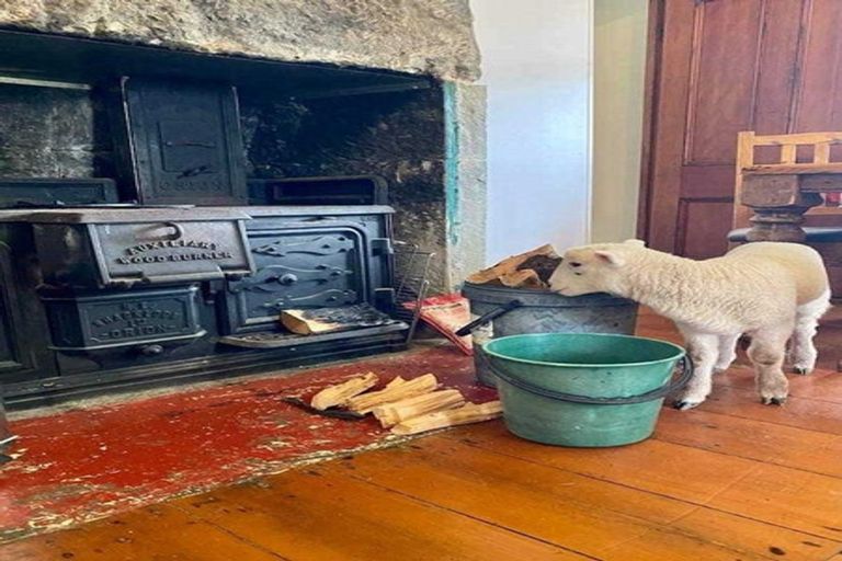 Photo of property in 402 Waipu Caves Road, Waipu, Whangarei, 0178