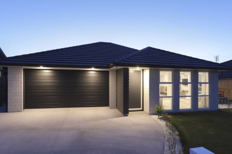 Photo of property in 77 Bert Wall Drive, Omokoroa, 3114