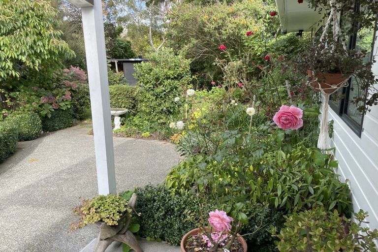 Photo of property in 101 Lincoln Street, Ashhurst, 4810