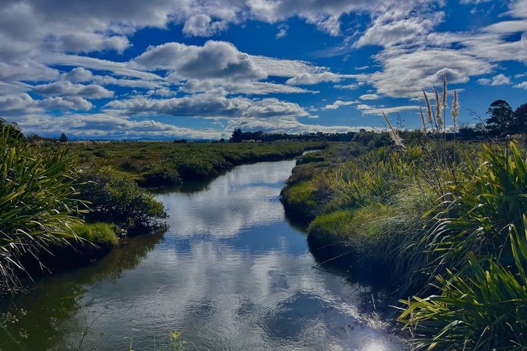 Photo of property in 63b Westwood Street, Bellevue, Tauranga, 3110