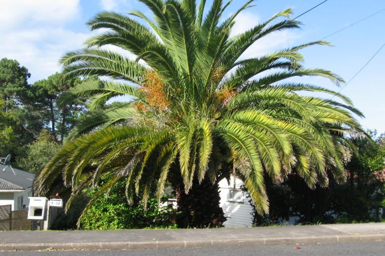 Photo of property in 2/22 Marina Road, Torbay, Auckland, 0630