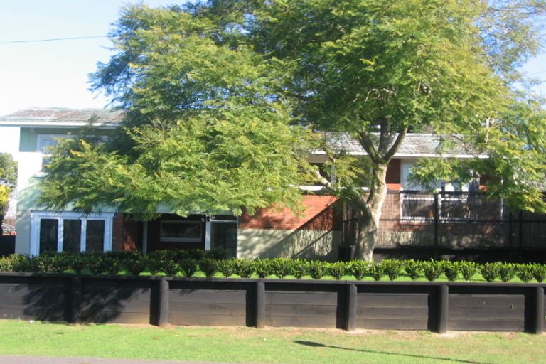 Photo of property in 47 Opaheke Road, Opaheke, Papakura, 2113