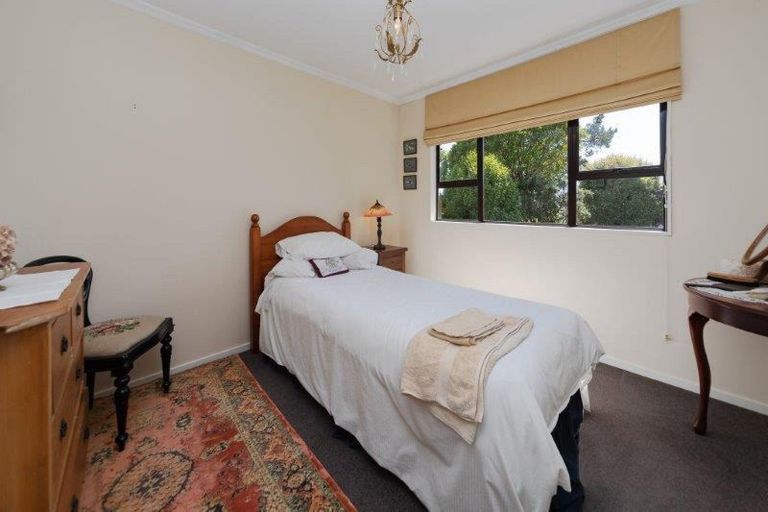 Photo of property in 205 The Terrace, Ashhurst, 4810