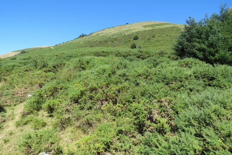 Photo of property in 255 Glentui Bush Road, Glentui, Oxford, 7495