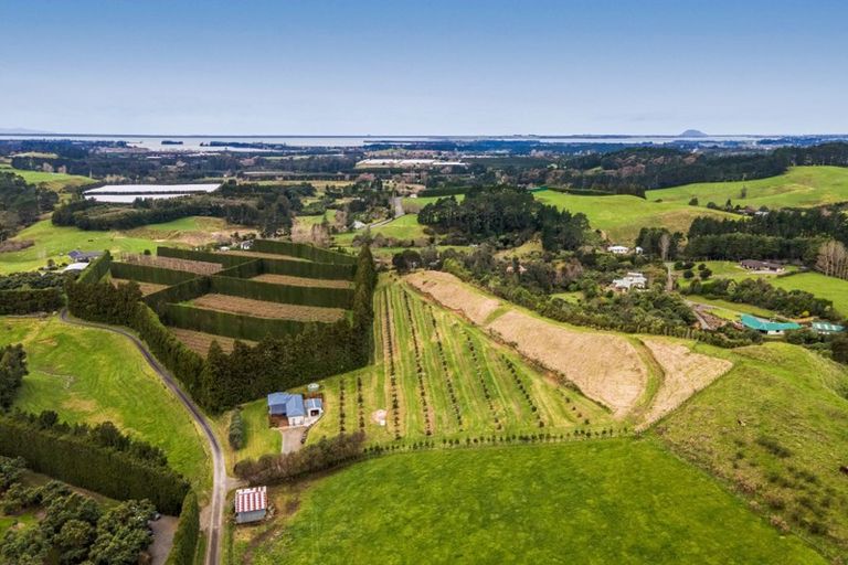 Photo of property in 54d Chard Road, Aongatete, Katikati, 3178