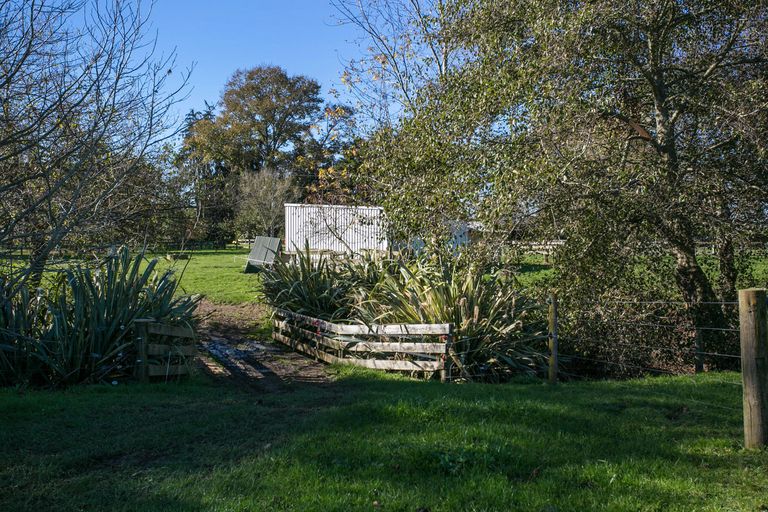 Photo of property in 66 Mill Road, Ohaupo, 3881