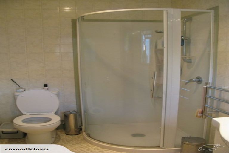 Photo of property in 141 Portia Street, Stratford, 4332