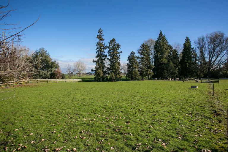 Photo of property in 66 Mill Road, Ohaupo, 3881