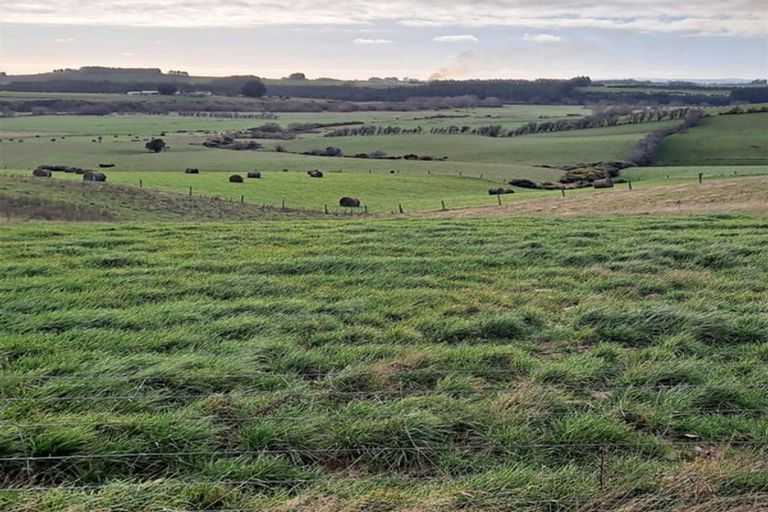 Photo of property in 236 Cheetwood Road, Romahapa, Balclutha, 9273