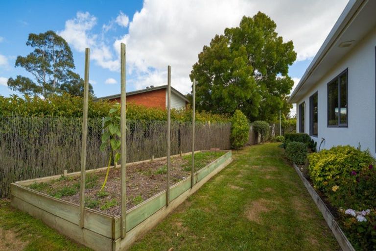 Photo of property in 25a Rata Place, Witherlea, Blenheim, 7201