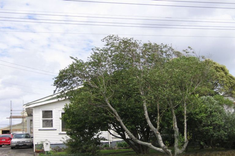 Photo of property in 34 Harlston Road, Mount Albert, Auckland, 1025