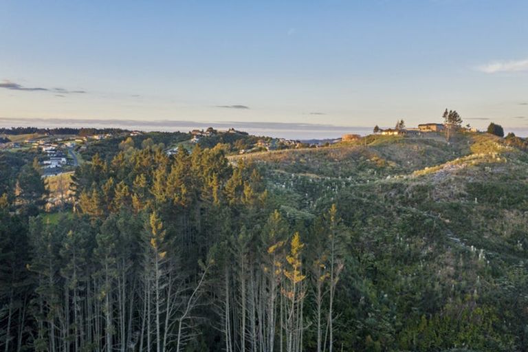 Photo of property in 16 Alluvial Street, Flat Bush, Auckland, 2019