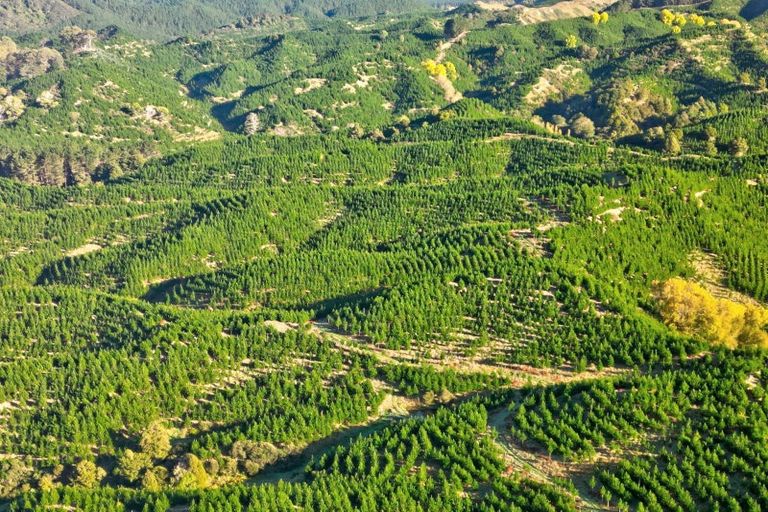 Photo of property in 751 Ongo Road, Hunterville, 4782